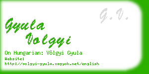 gyula volgyi business card